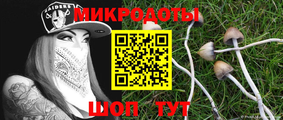 Уссурийск  Псилоцибиновые грибы Cubensis  Вход с VPN 